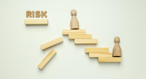 Risk and Resilience