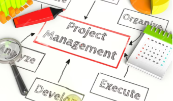 Adaptive Project Management and Organizational Skills