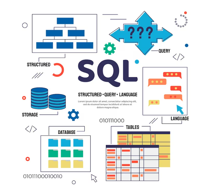 Database Management and SQL