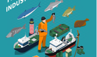 Innovative Strategies in the Fishing Industry
